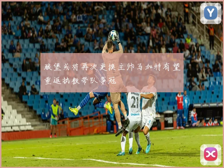 狼堡或将再次更换主帅马加特有望重返执教带队争冠