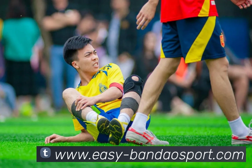 半岛体育APP 高清赛事图